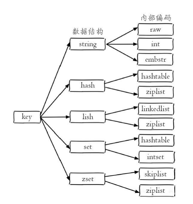 redis内部编码